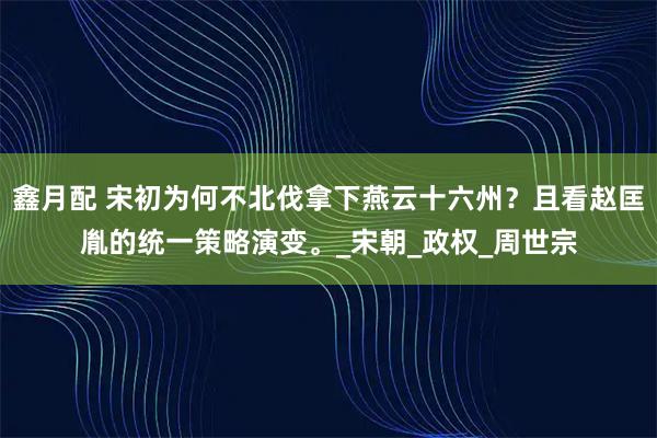 鑫月配 宋初为何不北伐拿下燕云十六州？且看赵匡胤的统一策略演变。_宋朝_政权_周世宗