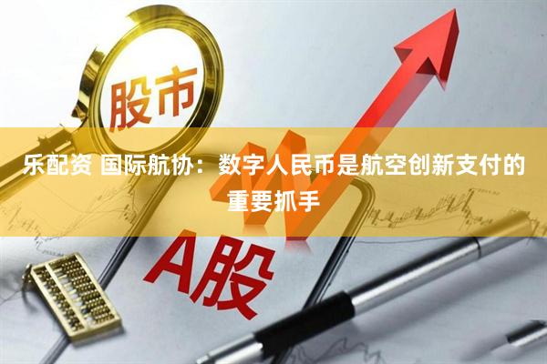 乐配资 国际航协：数字人民币是航空创新支付的重要抓手